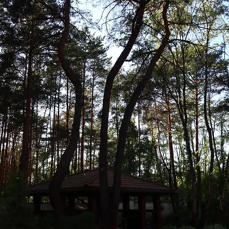 Las&luksus Jacuzzi, Sauna I Relaks Pod Warszawa Villa Konstancin-Jeziorna