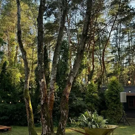Villa Golden Luxury Garden Retreat - Jacuzzi & Sauna Konstancin-Jeziorna