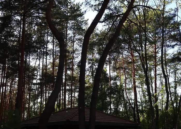 Las&luksus Jacuzzi, Sauna I Relaks Pod Warszawa Villa Konstancin-Jeziorna